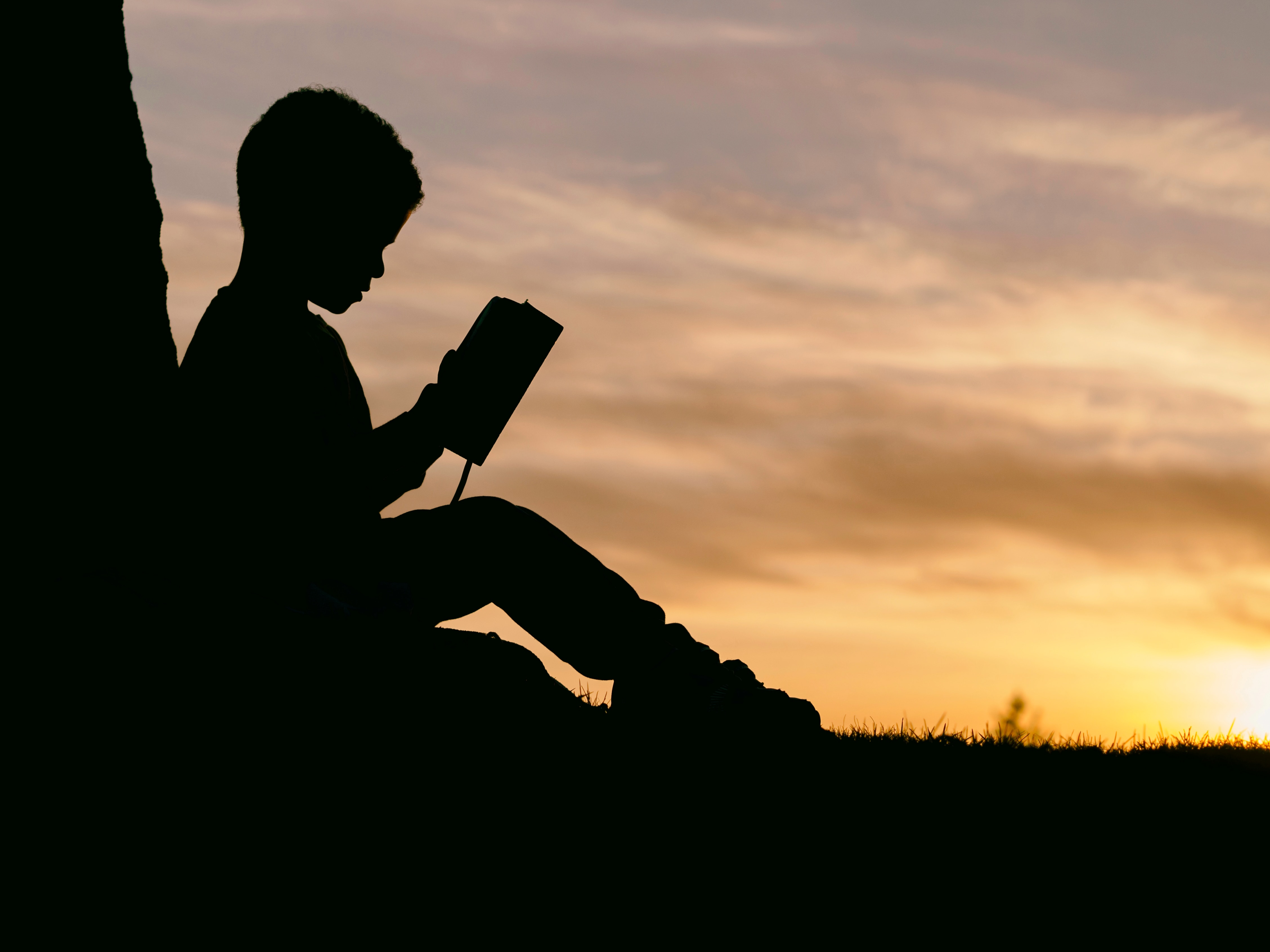 The Journey of the Arabic Reading